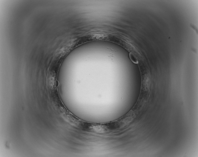 X0000102840417200808251200