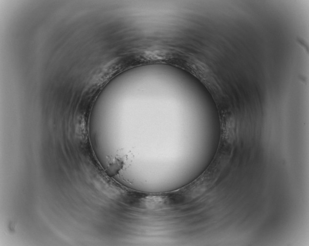 X0000102840418200808251200