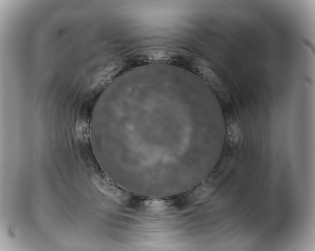 X0000102840419200808251200