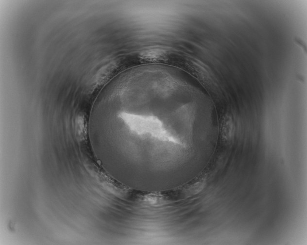 X0000102840420200808251200