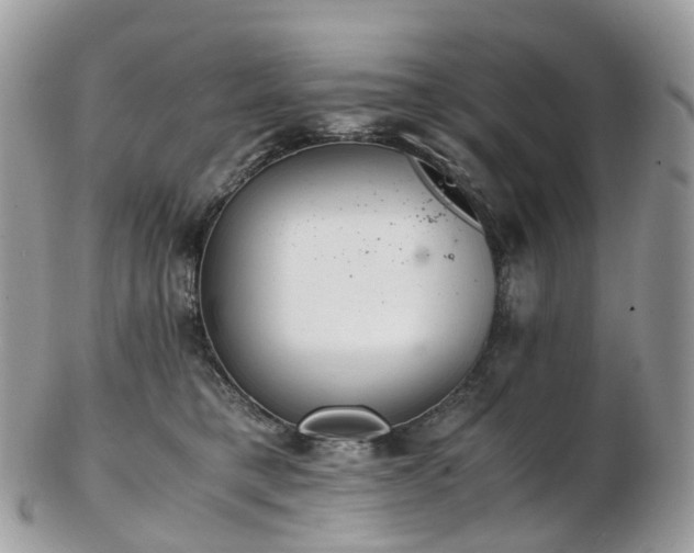 X0000102840421200808251200