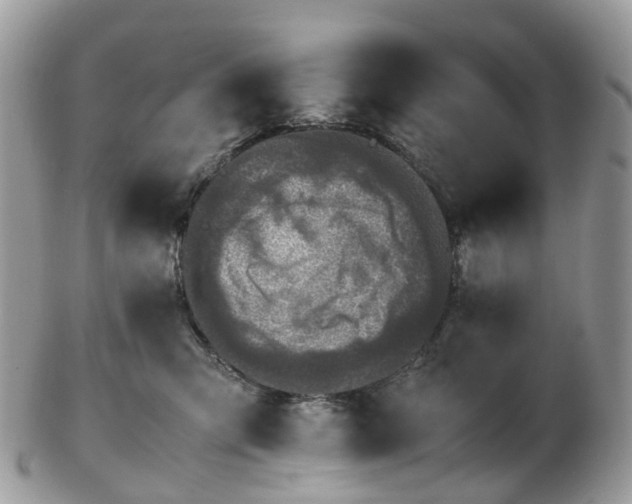 X0000102840423200808251200