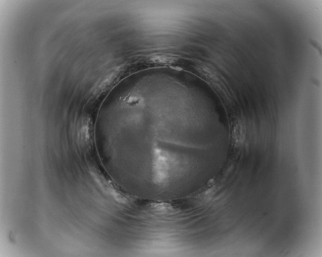 X0000102840424200808251200