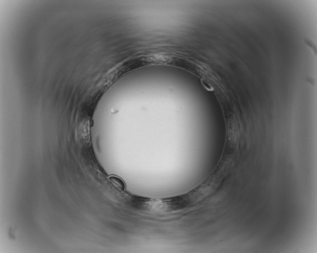 X0000102840425200808251200