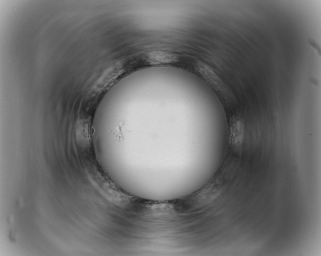 X0000102840426200808251200