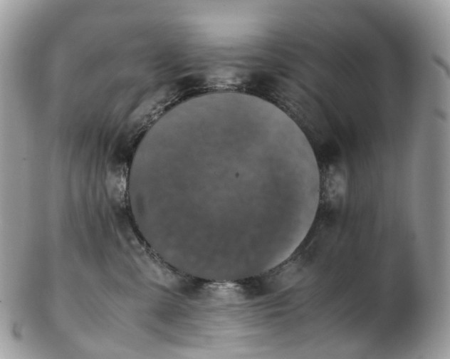 X0000102840427200808251200