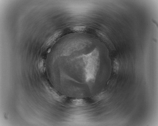 X0000102840428200808251200