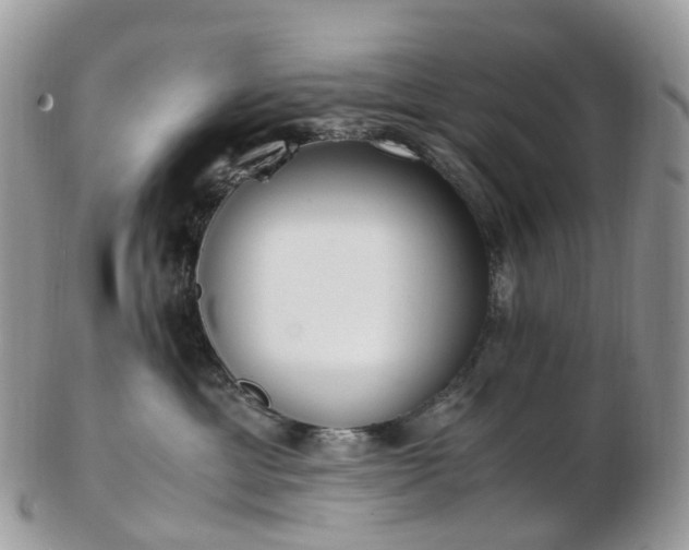 X0000102840429200808251200