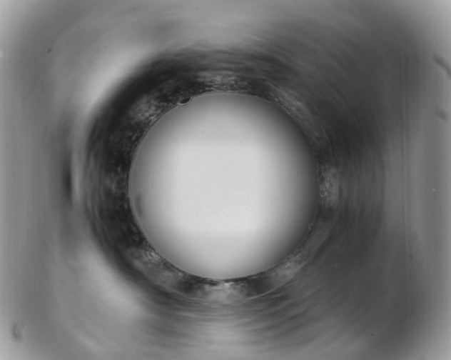 X0000102840430200808251200