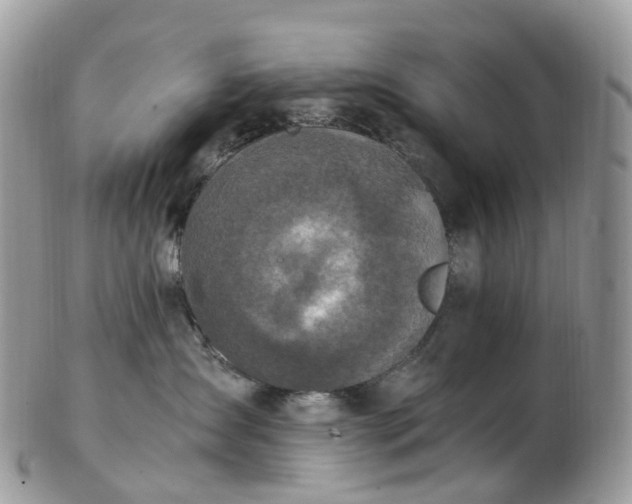 X0000102840431200808251200