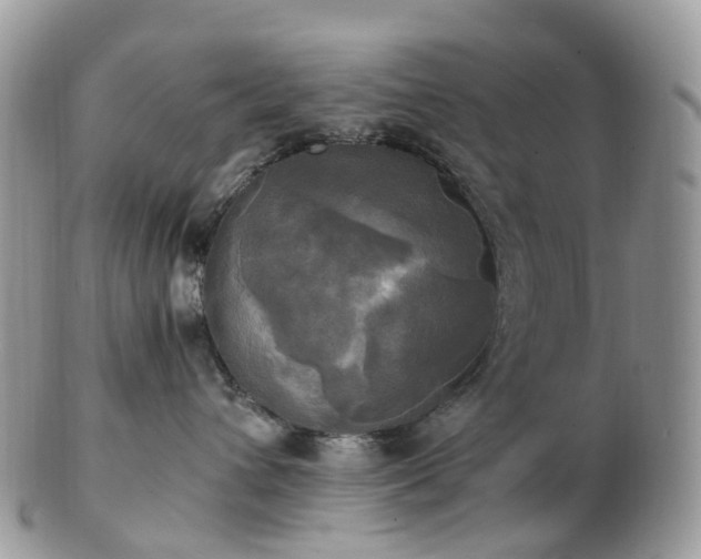 X0000102840432200808251200