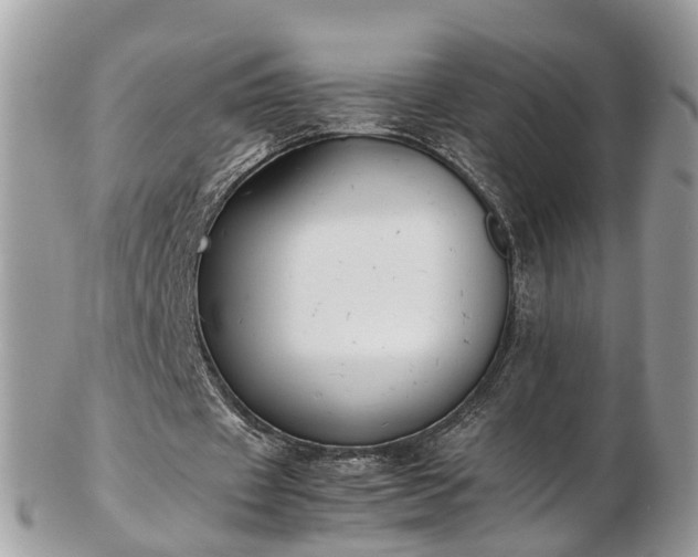 X0000102840433200808251159