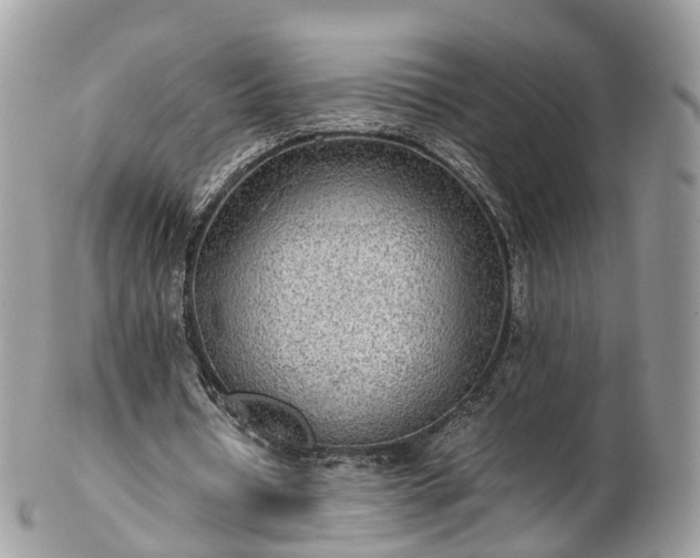 X0000102840434200808251159