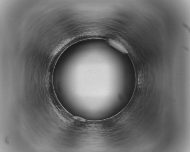 X0000102840436200808251159