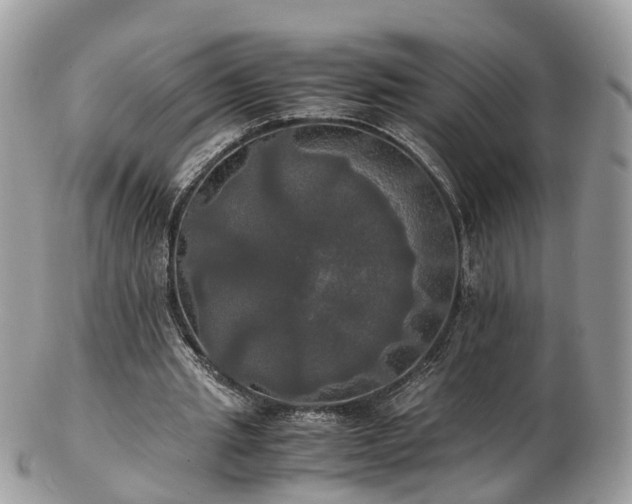 X0000102840437200808251159