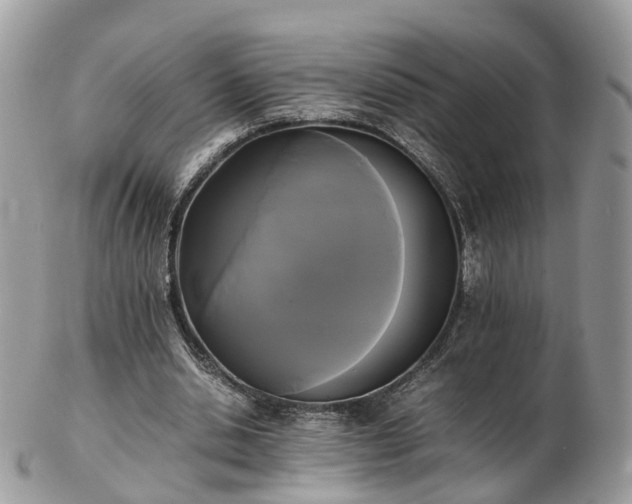 X0000102840438200808251159