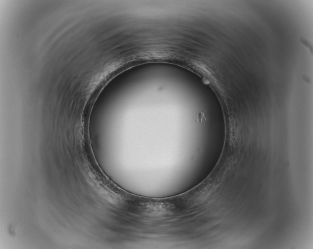 X0000102840439200808251159