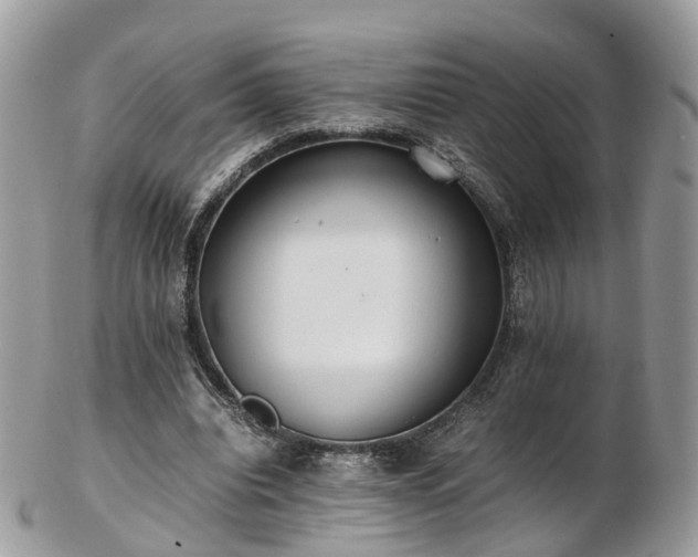 X0000102840440200808251159