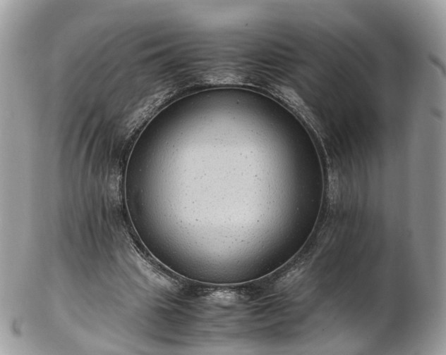 X0000102840441200808251159