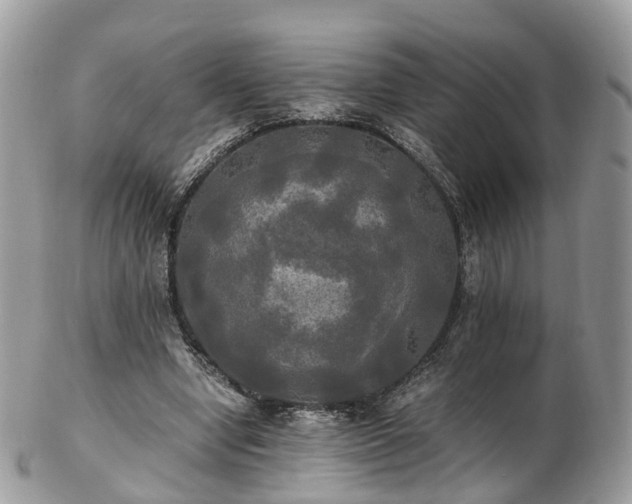 X0000102840442200808251159