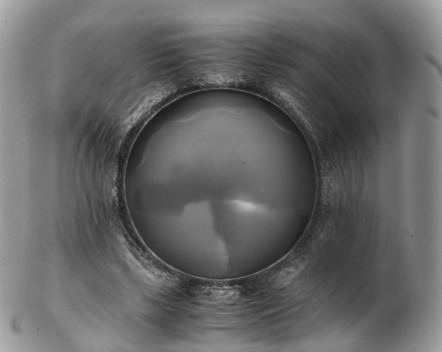 X0000102840443200808251159