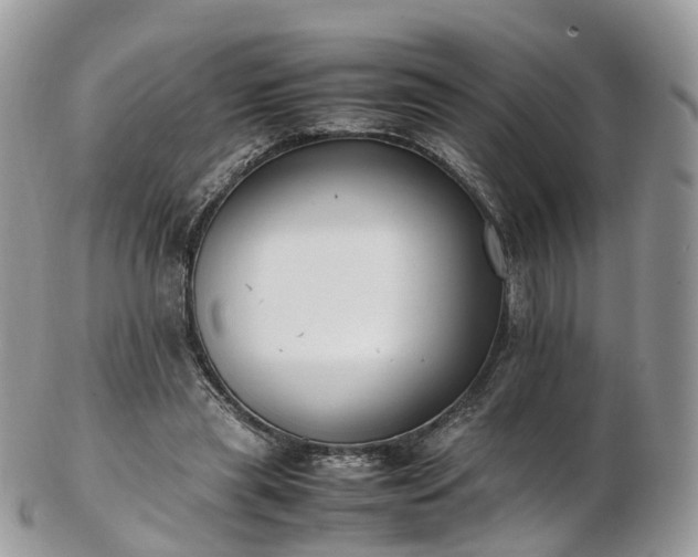 X0000102840445200808251159