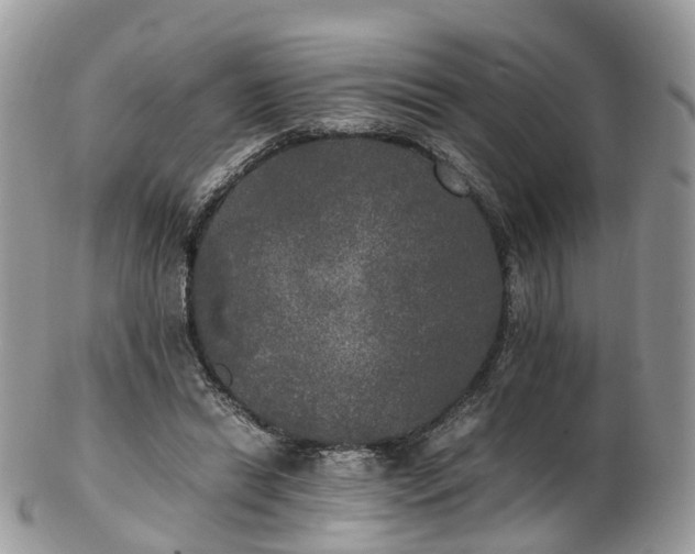 X0000102840446200808251159