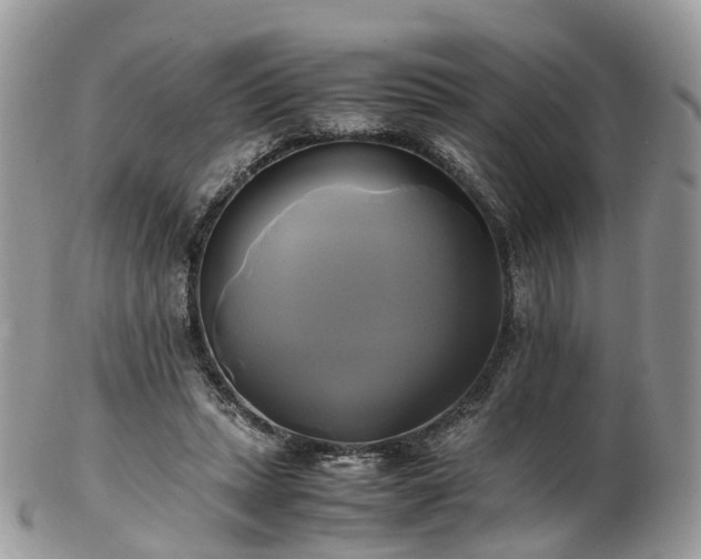 X0000102840447200808251159