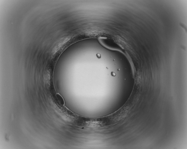 X0000102840448200808251159