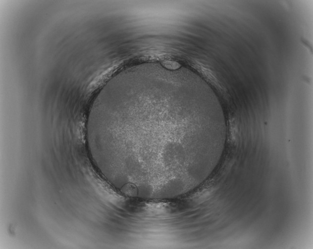 X0000102840450200808251159