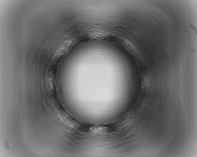 X0000102840452200808251159