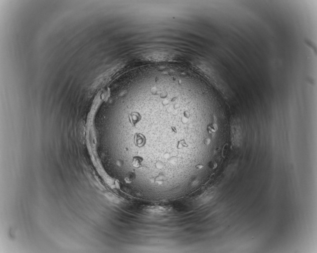 X0000102840453200808251159