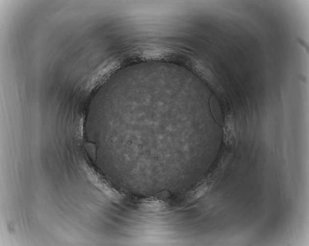 X0000102840454200808251159