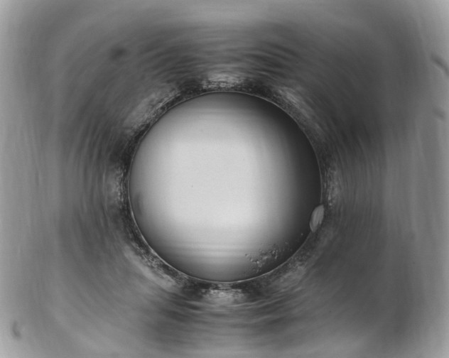 X0000102840455200808251159