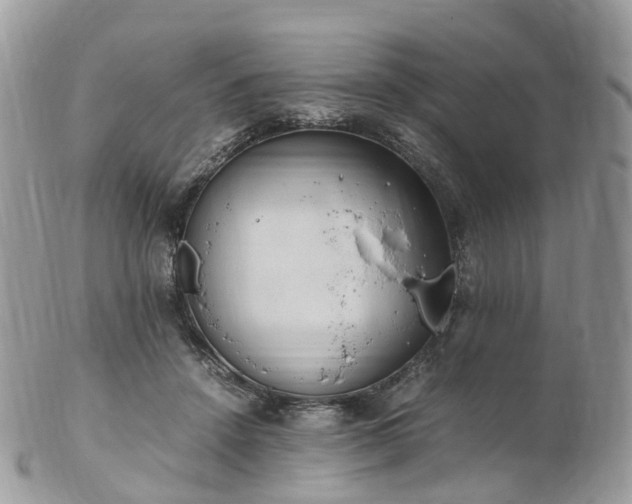 X0000102840456200808251200