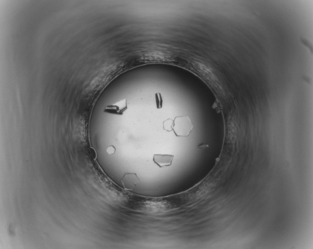 X0000102840457200808251200