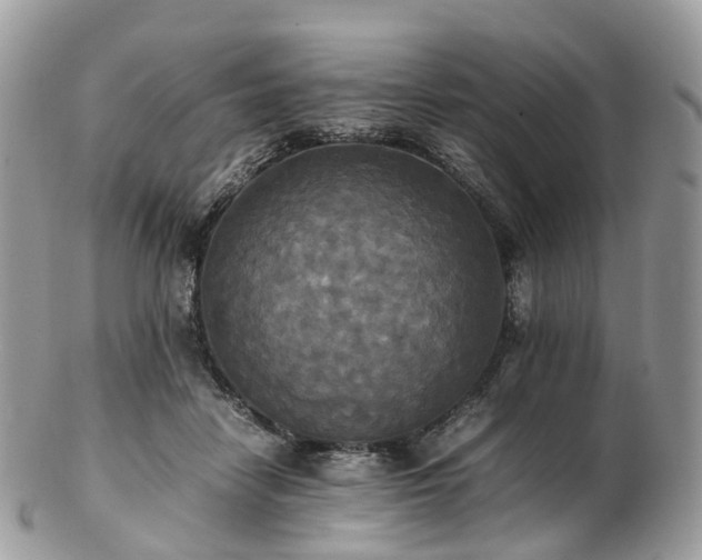 X0000102840458200808251200