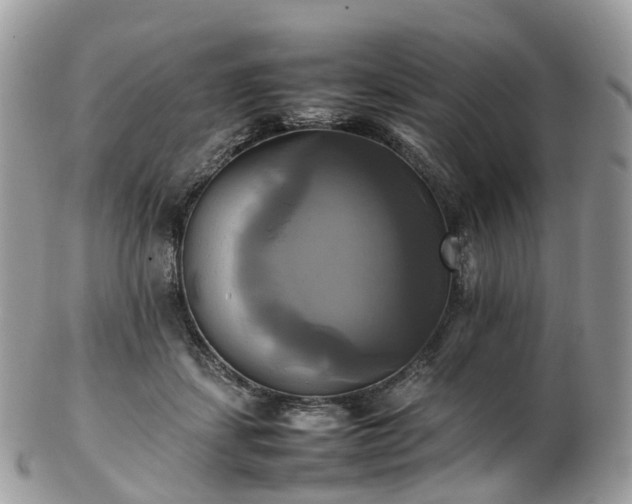 X0000102840459200808251200