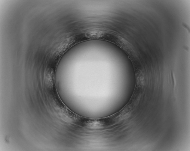 X0000102840460200808251200