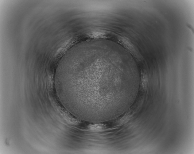 X0000102840461200808251200