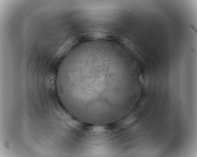 X0000102840462200808251200