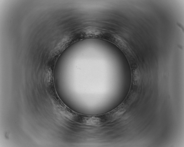 X0000102840463200808251200