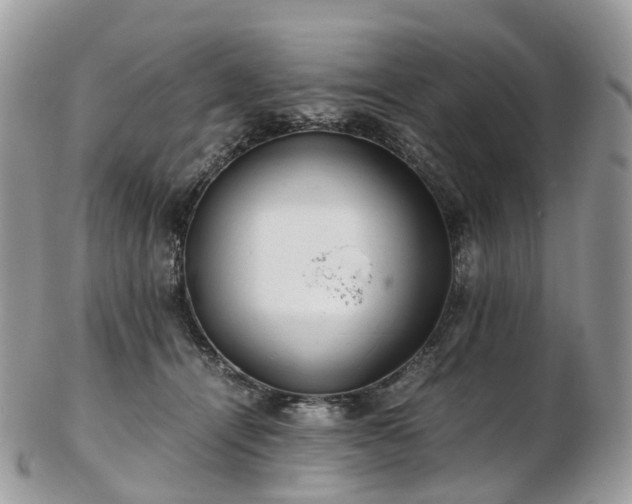 X0000102840464200808251200