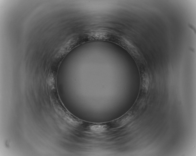 X0000102840465200808251200