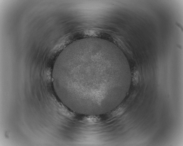 X0000102840466200808251200