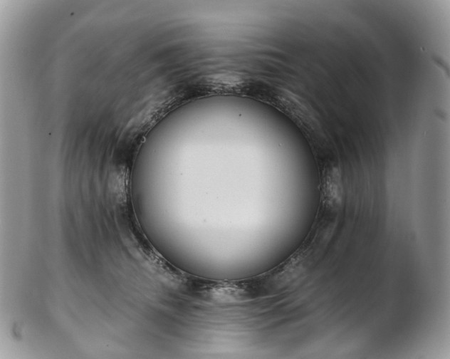 X0000102840468200808251200