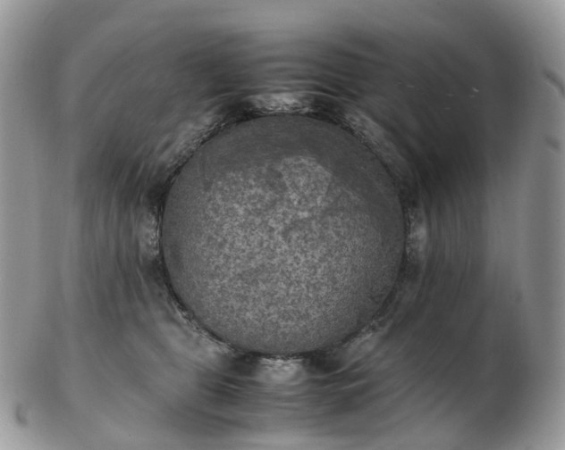 X0000102840469200808251200