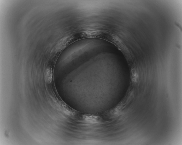 X0000102840471200808251200