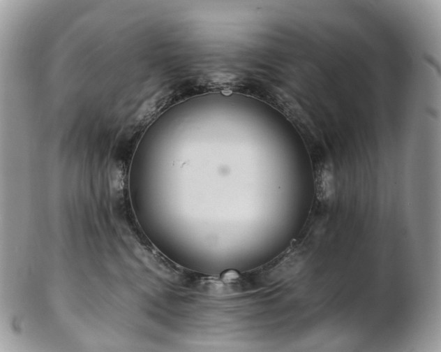 X0000102840472200808251200