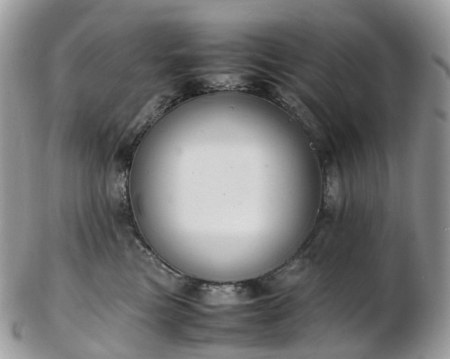 X0000102840473200808251200